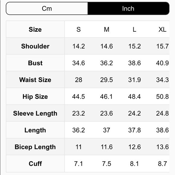 NEW! Black Meshed Scallop Trimmed Dress - Picture 4 of 4